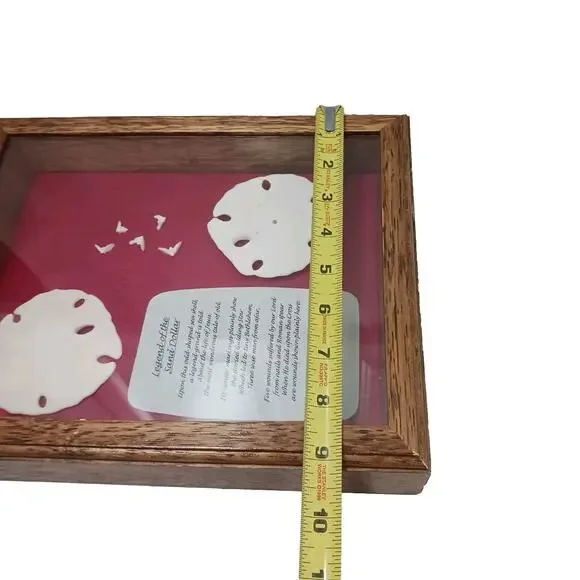 VNT Legend Of The Sand Dollar Maplewood Frame RED Shadowbox Decor Art Coastal